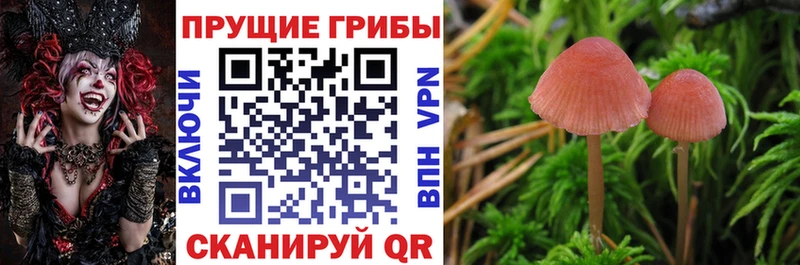 купить закладку  Сосногорск  Галлюциногенные грибы Cubensis 
