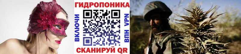 Бошки марихуана VHQ  Сосногорск 
